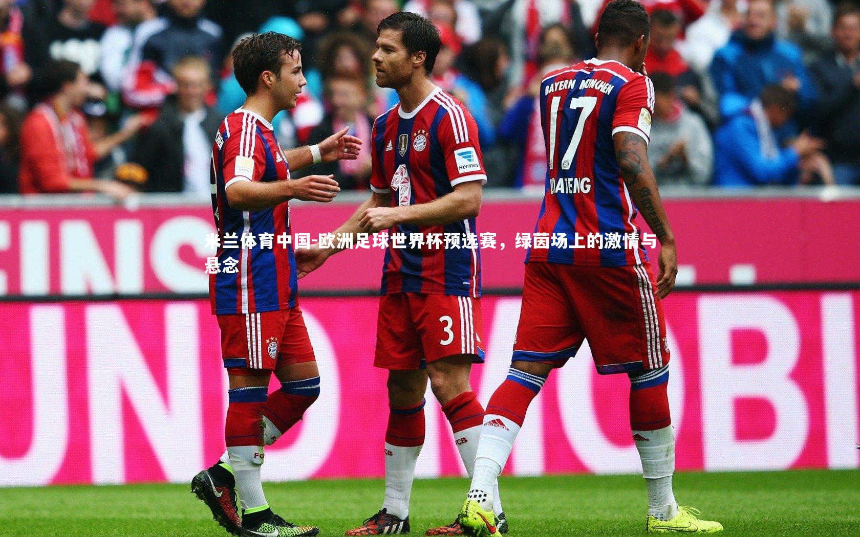 欧洲足球世界杯预选赛,绿茵场上的激情与悬念